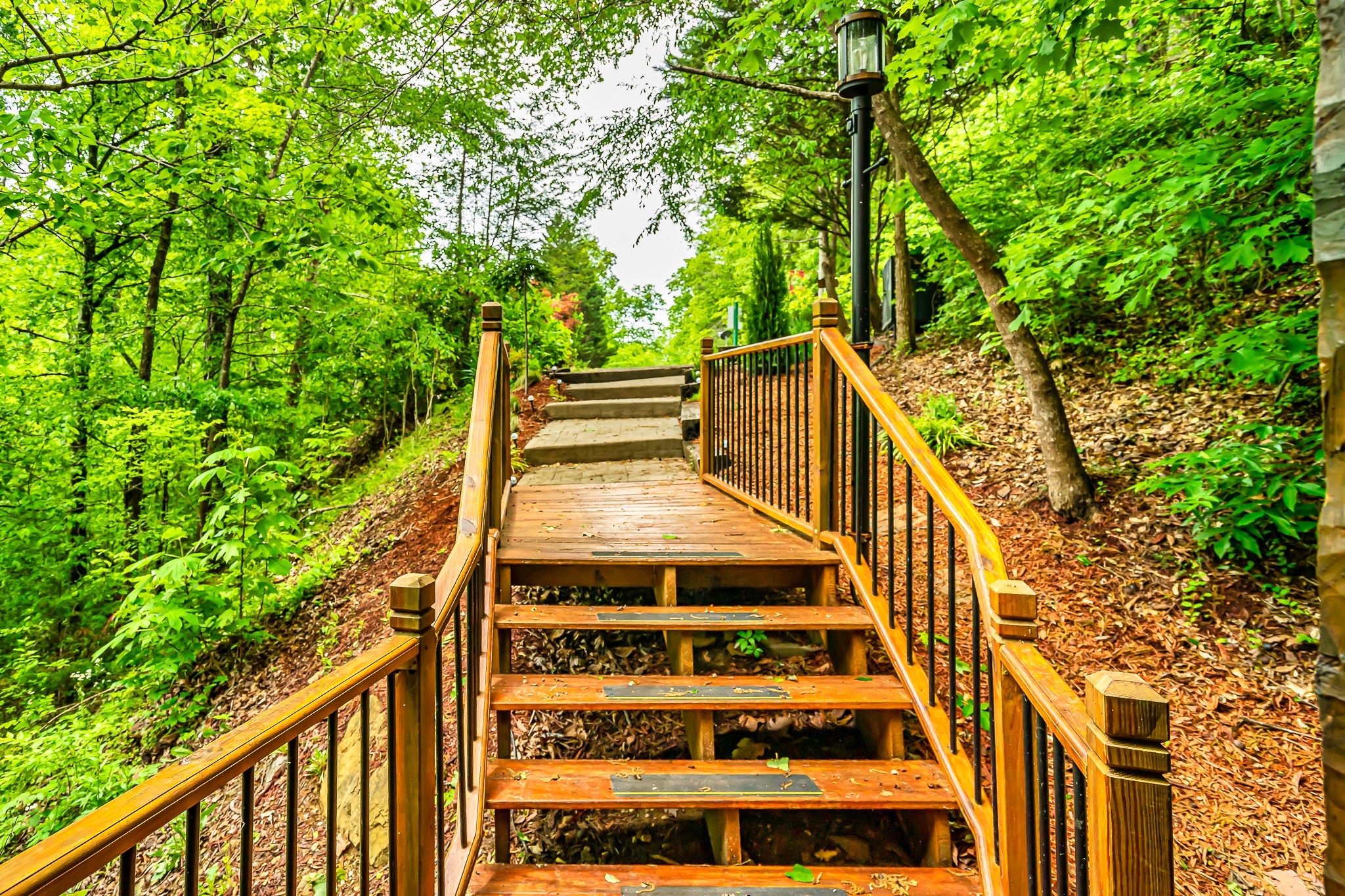 Wooden stairs through forest leading to Rustic Rooster cabin Tennessee